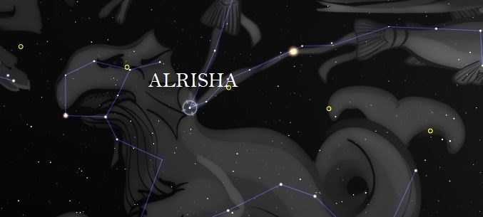 estrella fija alrisha
